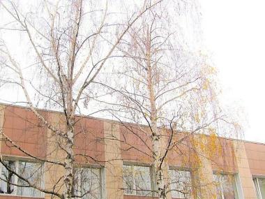 Пансионат для пожилых в Дзержинском (Фото 1)