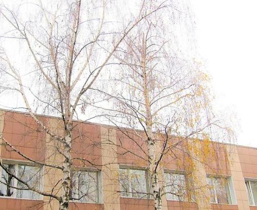 Пансионат для пожилых в Дзержинском (Фото 1)