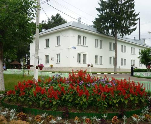 Ногинский дом-интернат для престарелых и инвалидов (Фото 1)