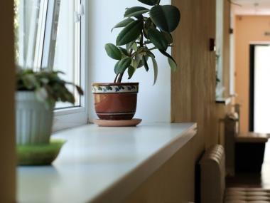 Пансионат для пожилых и престарелых в Химках (Фото 2)