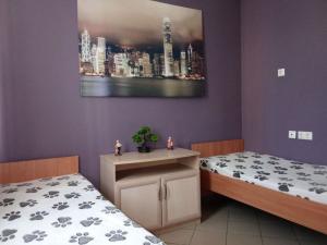 Пансионат для пожилых «Немчиновка» (Фото 3)