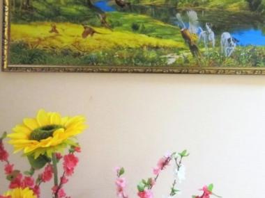 Пансионат «Уют и гармония» (Фото 2)