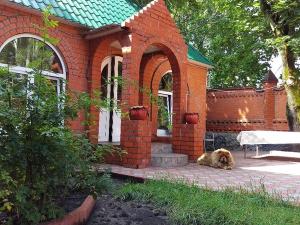 Реабилитационный центр Балашиха (Фото 2)