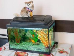 Пансионат для пожилых «Линия жизни» (Фото 2)