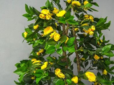 Пансионат «Ваша поддержка» в Домодедово (Фото 2)