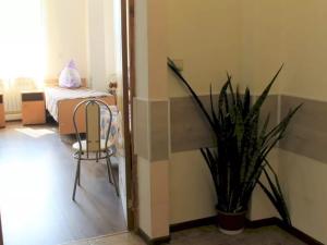 Пансионат для пожилых «Озерский» (Фото 2)