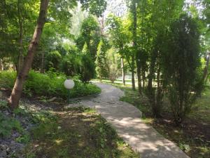 Пансионат для пожилых «Митино» (деревня Берхово) (Фото 2)