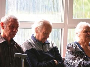 Пансионат «Алабушево» (Фото 2)