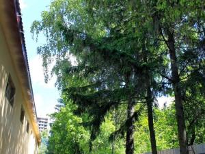 Реабилитационный центр в Химках (мкр. Сходня) (Фото 2)