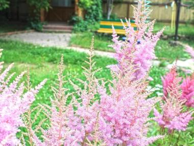 Пансионат для пожилых в Чехове (Фото 2)