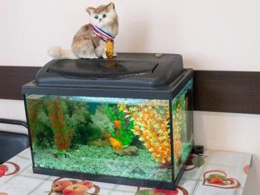 Пансионат для пожилых «Линия жизни» (Фото 2)