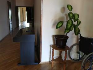 Пансионат для пожилых «Новинки» (Фото 3)