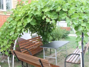 Пансионат «Коньково» (Фото 3)