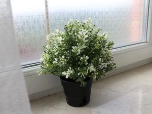 Реабилитационный центр «Лобня» (Фото 3)