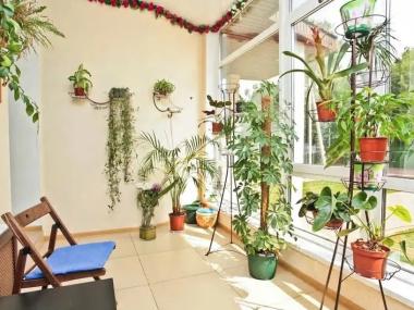 Пансионат «Надежда» (Подольск) (Фото 3)