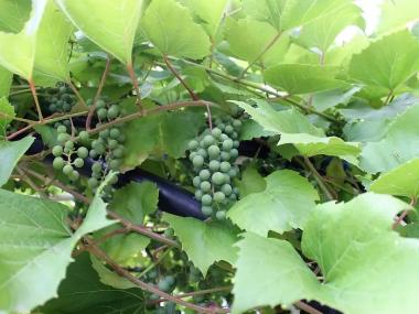 Пансионат для пожилых «Озерский» (Фото 3)