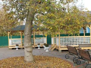 Пансионат для пожилых «Спартак» (Фото 2)