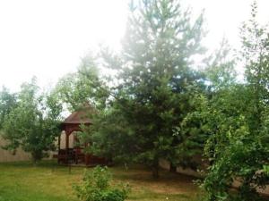 Дом престарелых в Химках (Фото 2)