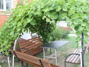 Пансионат «Коньково» (Фото 3)