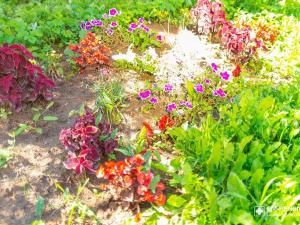 Пансионат для пожилых и престарелых в Балашихе (Фото 3)