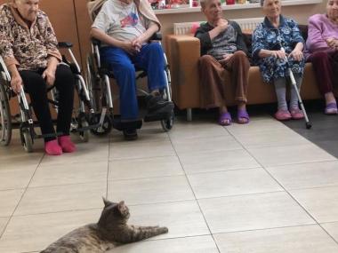 Ногинский дом-интернат для престарелых и инвалидов (Фото 4)