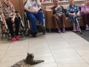 Ногинский дом-интернат для престарелых и инвалидов (Фото 4)