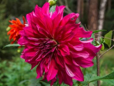 Дом престарелых «Электроугли» (Фото 4)