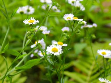 Пансионат в Губкино для пожилых (Фото 4)