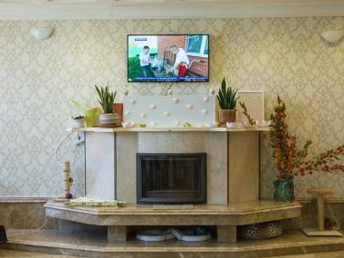 Пансионат «Малое Видное» (ТЛПХ «Подлипки») (Фото 4)