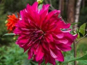 Дом престарелых «Электроугли» (Фото 4)