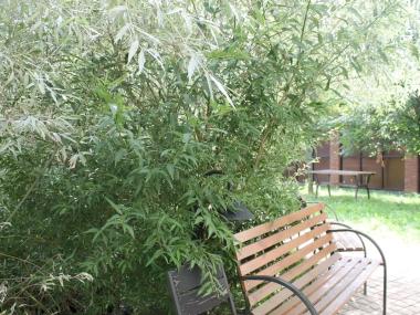 Пансионат «Добрый дом» для пожилых (Фото 2)