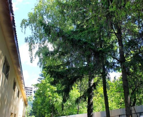 Пансионат для пожилых «Сходня» в Химках (Фото 1)