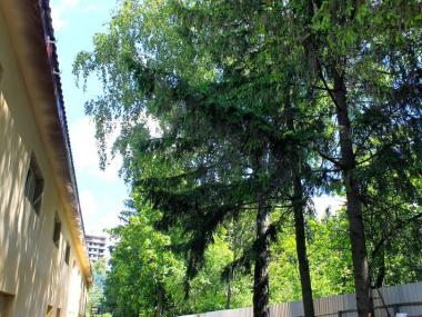 Пансионат для пожилых «Сходня» в Химках (Фото 1)