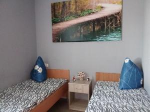 Пансионат для пожилых «Немчиновка» (Фото 2)