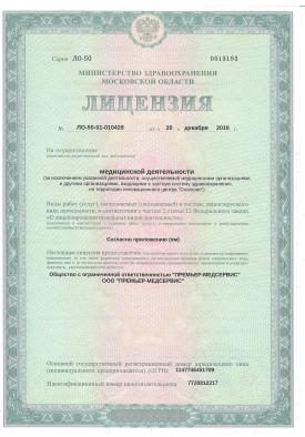 Лицензии (Файл 1)