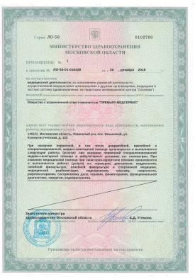 Лицензии (Файл 2)